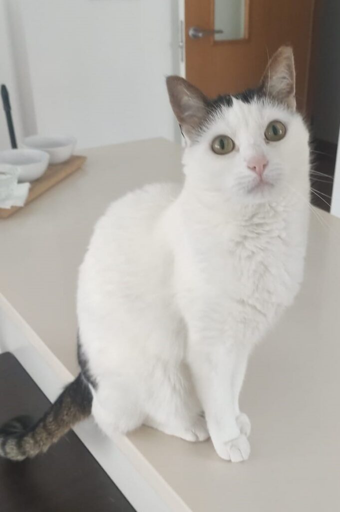 Foto Kerri